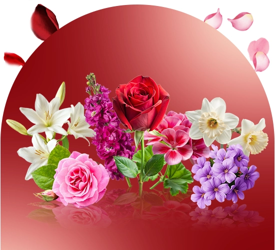 اسانس با  رایحه گل های معطر